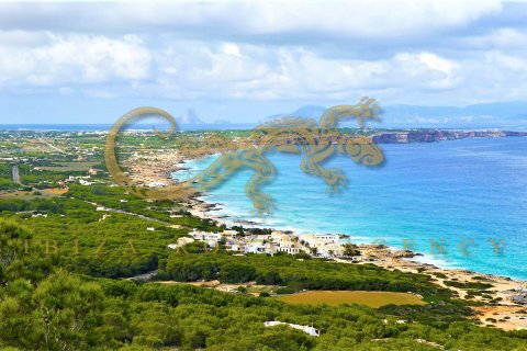 Land plot for sale on Formentera, Spain 6 bedrooms, 27000 sq.m. No. 30813 - photo 1