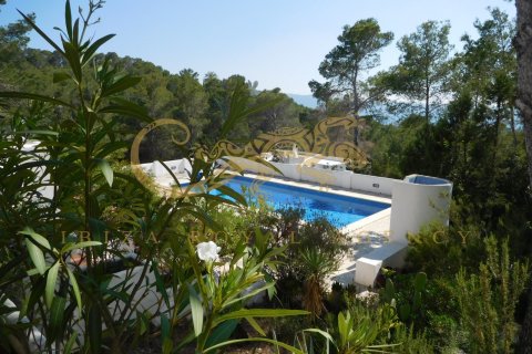 Villa for sale in San Antonio De Portmany, Ibiza, Spain 5 bedrooms, 282 sq.m. No. 30861 - photo 21