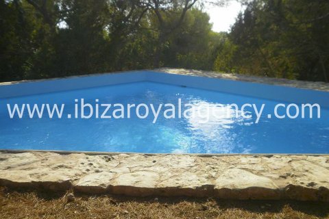 Villa for sale on Formentera, Spain 5 bedrooms, 300 sq.m. No. 30873 - photo 3