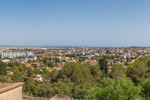 Finca for sale Palma de Majorca, Mallorca, Spain 11 bedrooms, 932 sq.m. No. 33271 - photo 4