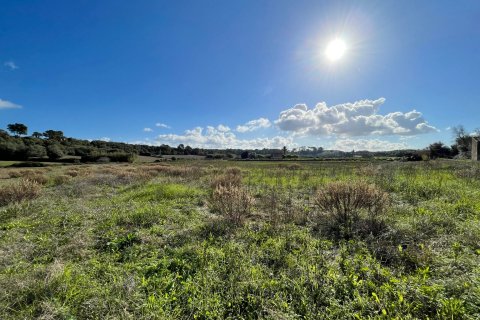 Land plot for sale in Muro, Mallorca, Spain 1 bedroom, 20000 sq.m. No. 33852 - photo 5