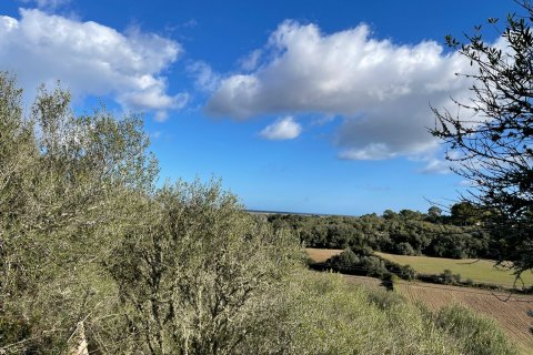 Land plot for sale in Muro, Mallorca, Spain 1 bedroom, 20000 sq.m. No. 33852 - photo 9