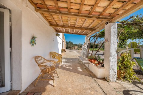 Finca for sale in Pollenca, Mallorca, Spain 4 bedrooms, 251 sq.m. No. 33453 - photo 9