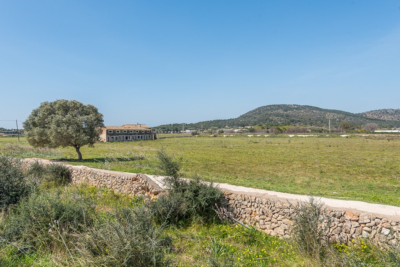 Tontti Magalluf, Mallorca, Espanja 114507 m2 No. 33402