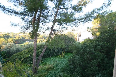 Land plot for sale in Palma de Majorca, Mallorca, Spain 2107 sq.m. No. 33407 - photo 3