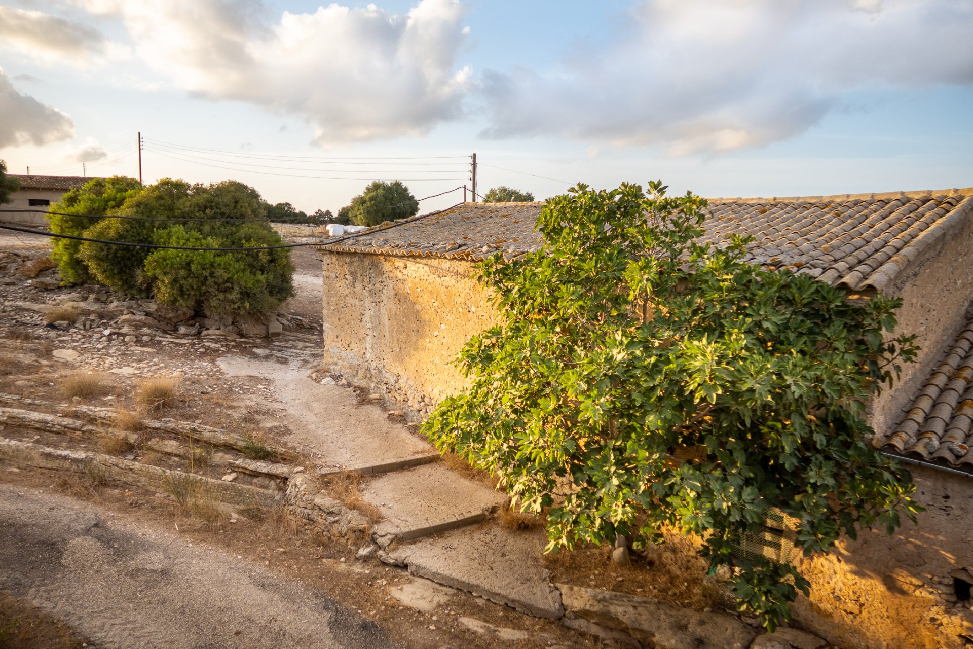 Finca i Montuiri, Mallorca, Spanien 8 sovrum, 1630 kvm. Nr. 32614