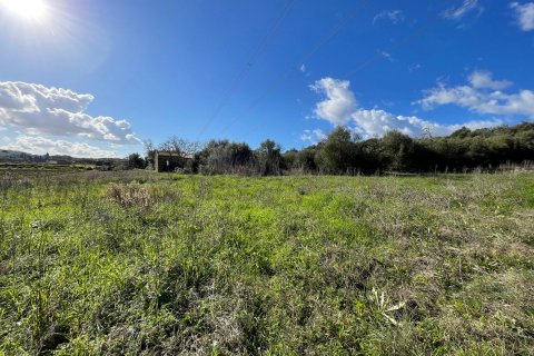 Land plot for sale in Muro, Mallorca, Spain 1 bedroom, 20000 sq.m. No. 33852 - photo 3