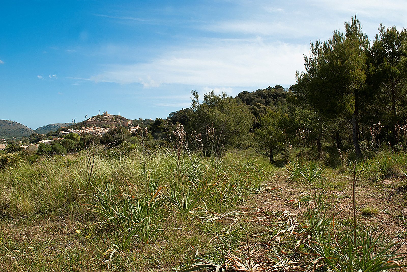 Zemes gabals Capdepera, Mallorca, Spānijā 32467 m2 Nr. 32556