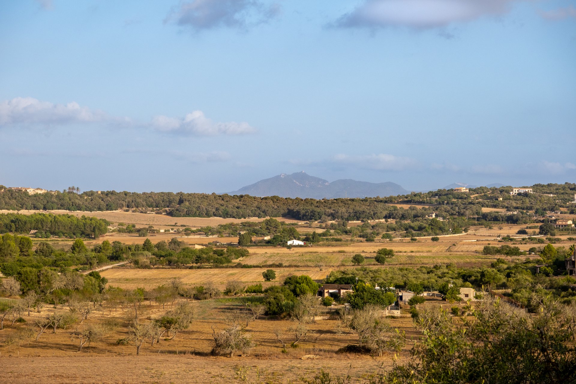 Finca i Montuiri, Mallorca, Spanien 8 sovrum, 1630 kvm. Nr. 32614