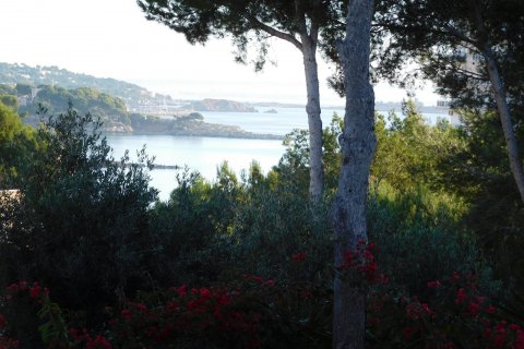 Land plot for sale in Palmanova, Mallorca, Spain 1295 sq.m. No. 32834 - photo 1