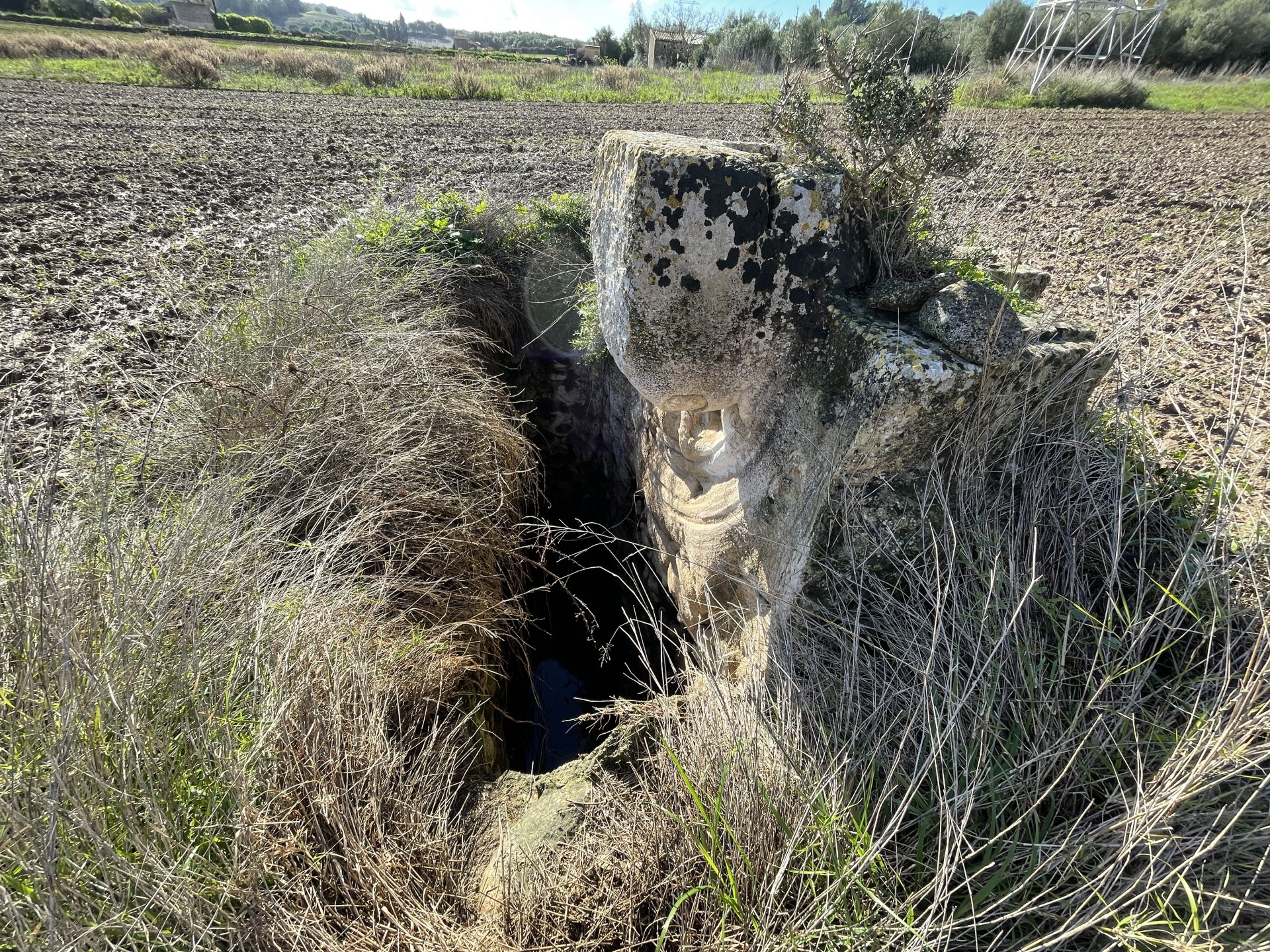 Terreno a Muro, Mallorca, Spagna 1 camera da letto, 22300 mq. N° 33852