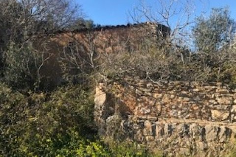 Land plot for sale Felanitx, Mallorca, Spain 32980 sq.m. No. 32420 - photo 2