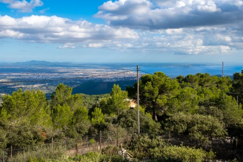 Finca for sale in Esporles, Mallorca, Spain 5 bedrooms, 250 sq.m. No. 32271 - photo 16