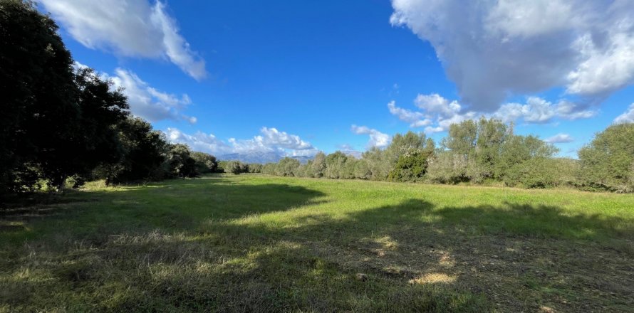 Land plot in Muro, Mallorca, Spain 1 bedroom, 20000 sq.m. No. 33852