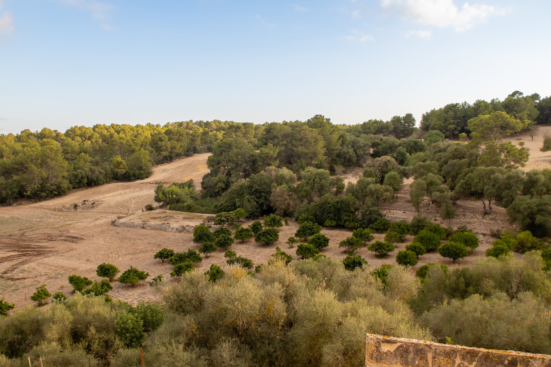 Finca i Montuiri, Mallorca, Spanien 8 sovrum, 1630 kvm. Nr. 32614