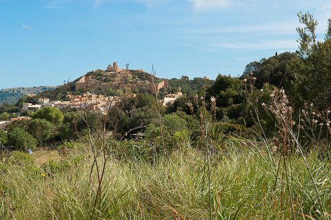 Land plot for sale in Capdepera, Mallorca, Spain 32467 sq.m. No. 32556 - photo 1