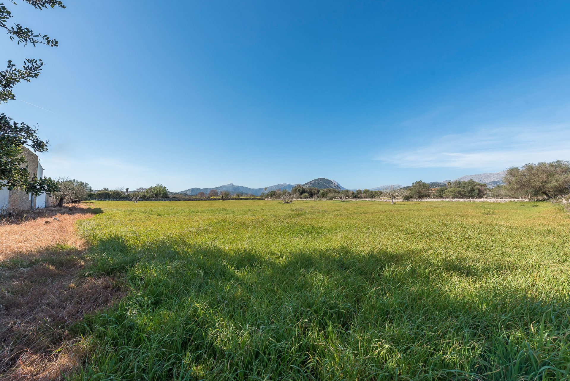 Finca Pollenca, Mallorca, Espanja 4 makuuhuonetta, 251 m2 No. 33453