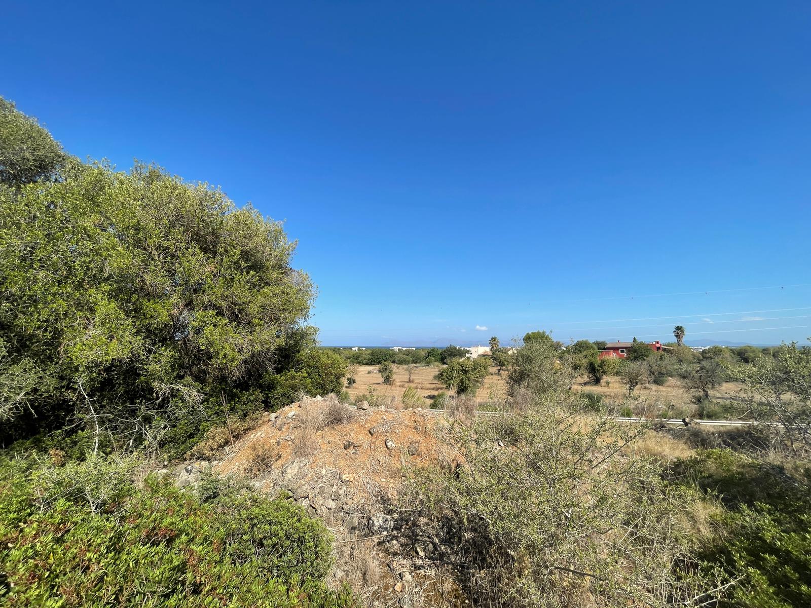 Land plot in Alcudia, Mallorca, Spain 1 bedroom, 270046 sq.m. No. 32510
