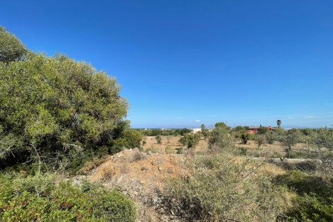 Land plot for sale in Alcudia, Mallorca, Spain 1 bedroom, 270046 sq.m. No. 32510 - photo 5