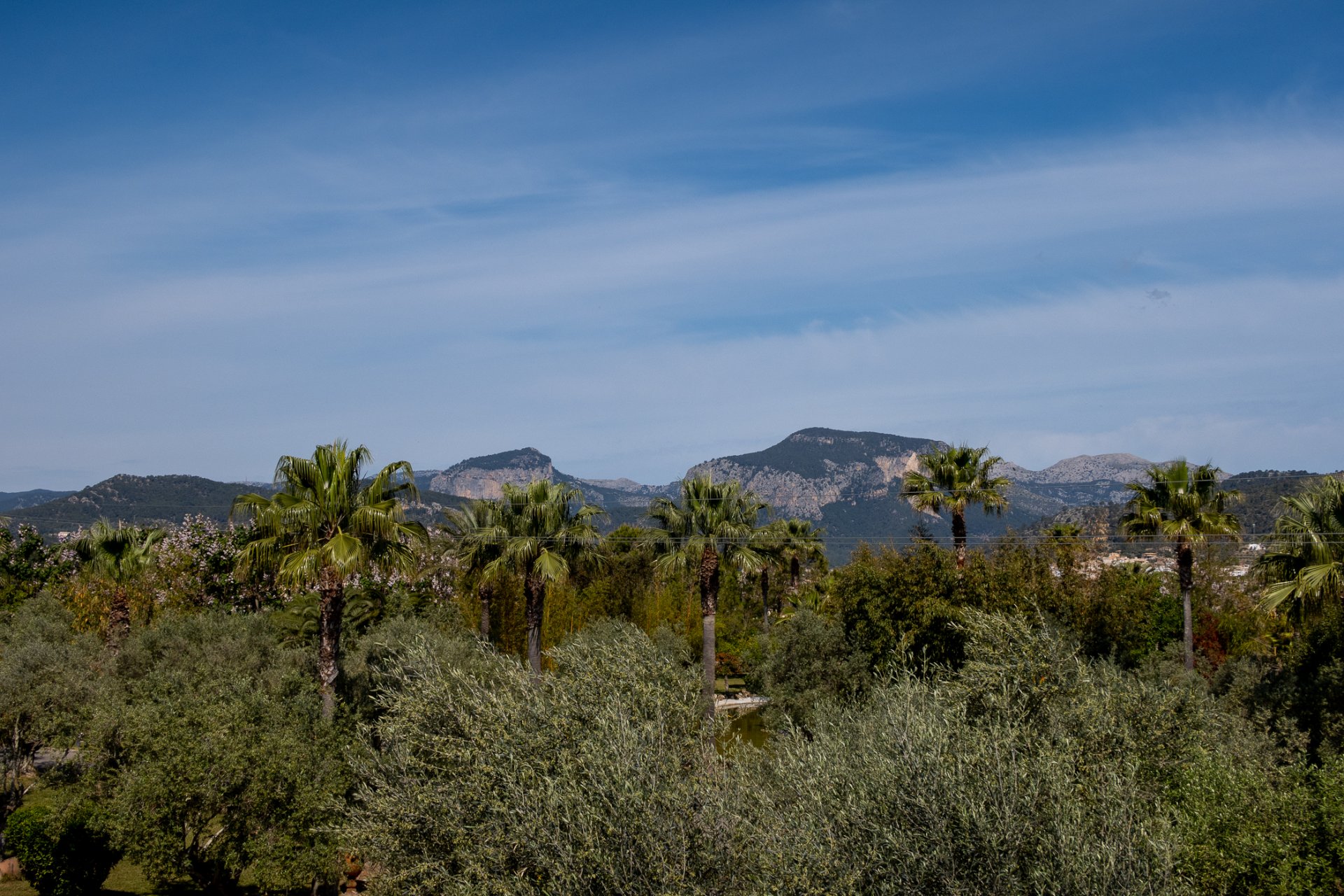 Finca in Inca, Mallorca, Spanien 5 Schlafzimmer, 2416 m2 Nr. 32761