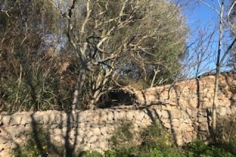 Land plot for sale Felanitx, Mallorca, Spain 32980 sq.m. No. 32420 - photo 6
