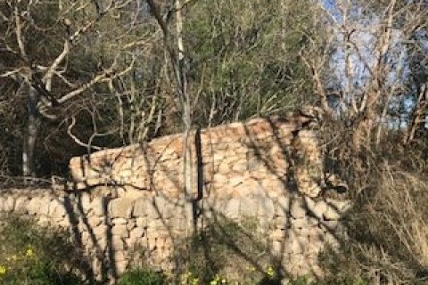 Land plot for sale Felanitx, Mallorca, Spain 32980 sq.m. No. 32420 - photo 7