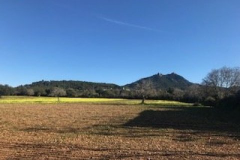Land plot for sale Felanitx, Mallorca, Spain 32980 sq.m. No. 32420 - photo 1