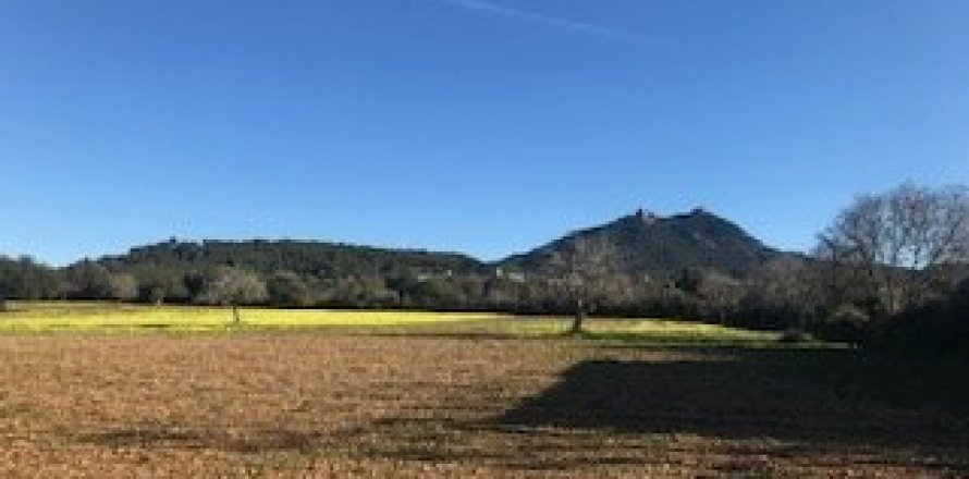 Land plot Felanitx, Mallorca, Spain 32980 sq.m. No. 32420