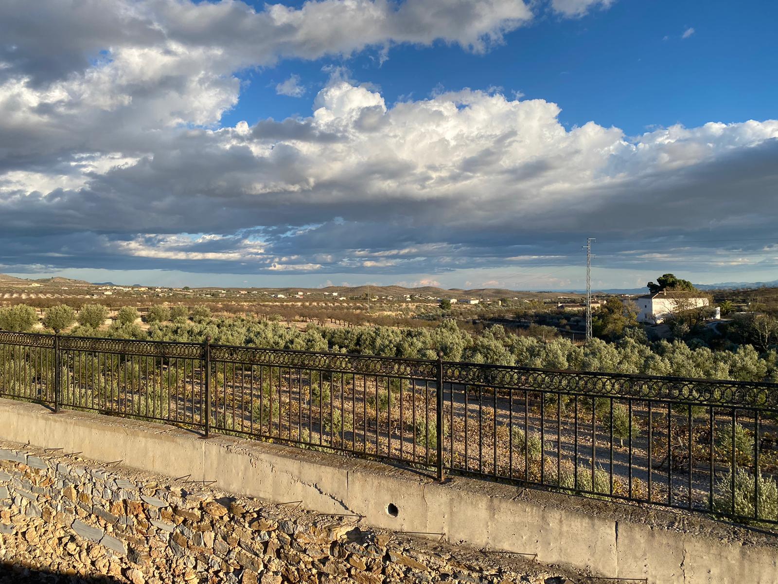 Commercial property à Almeria, Espagne 50000 m2 No. 31941