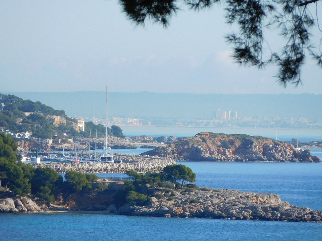 Land plot à Palmanova, Mallorca, Espagne 1295 m2 No. 32834