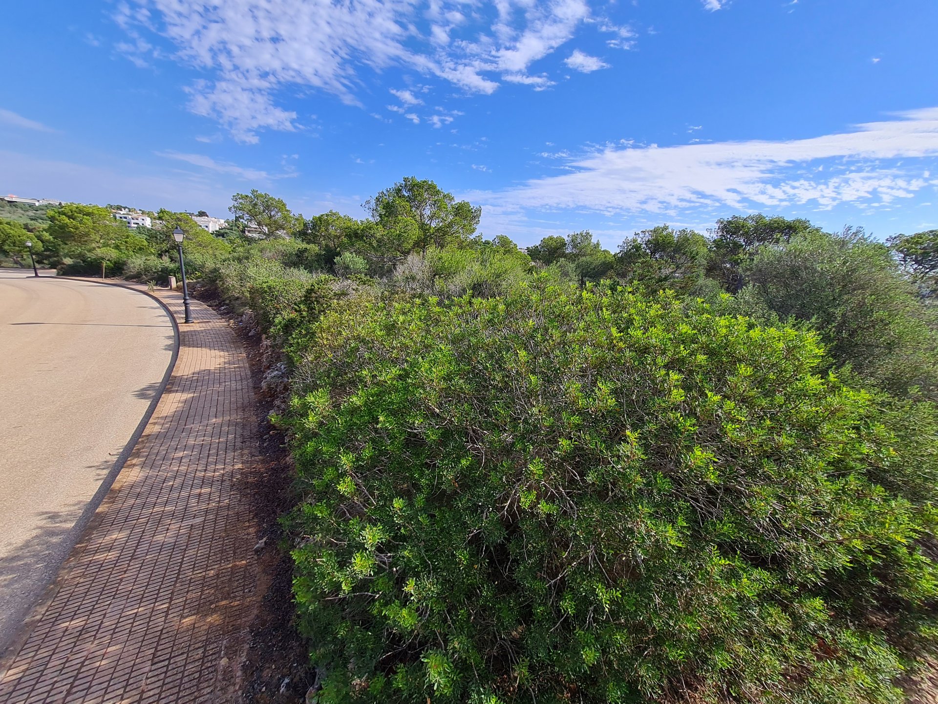 Land plot in Mallorca, Spain 1000 sq.m. No. 32234