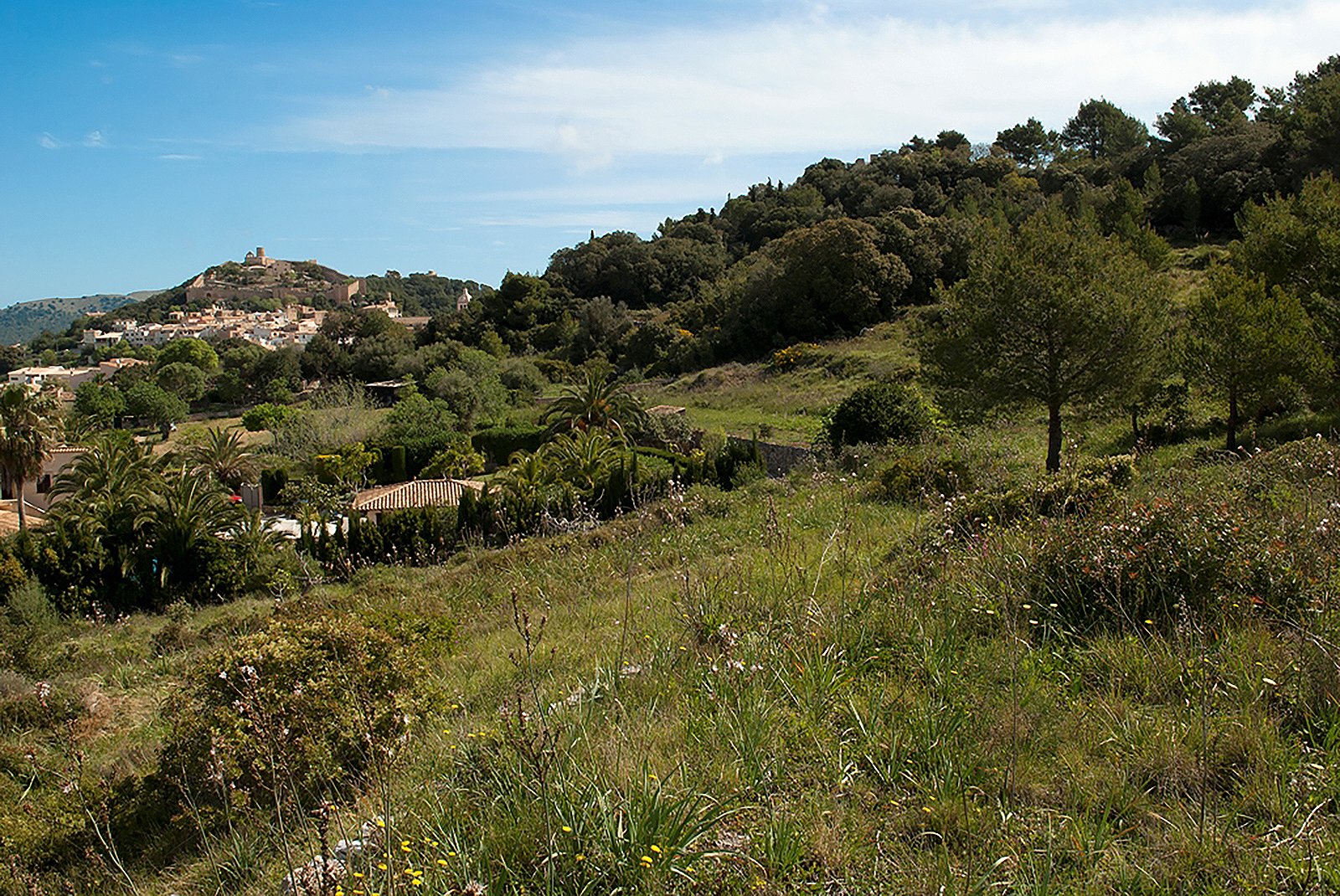 Zemes gabals Capdepera, Mallorca, Spānijā 32467 m2 Nr. 32556