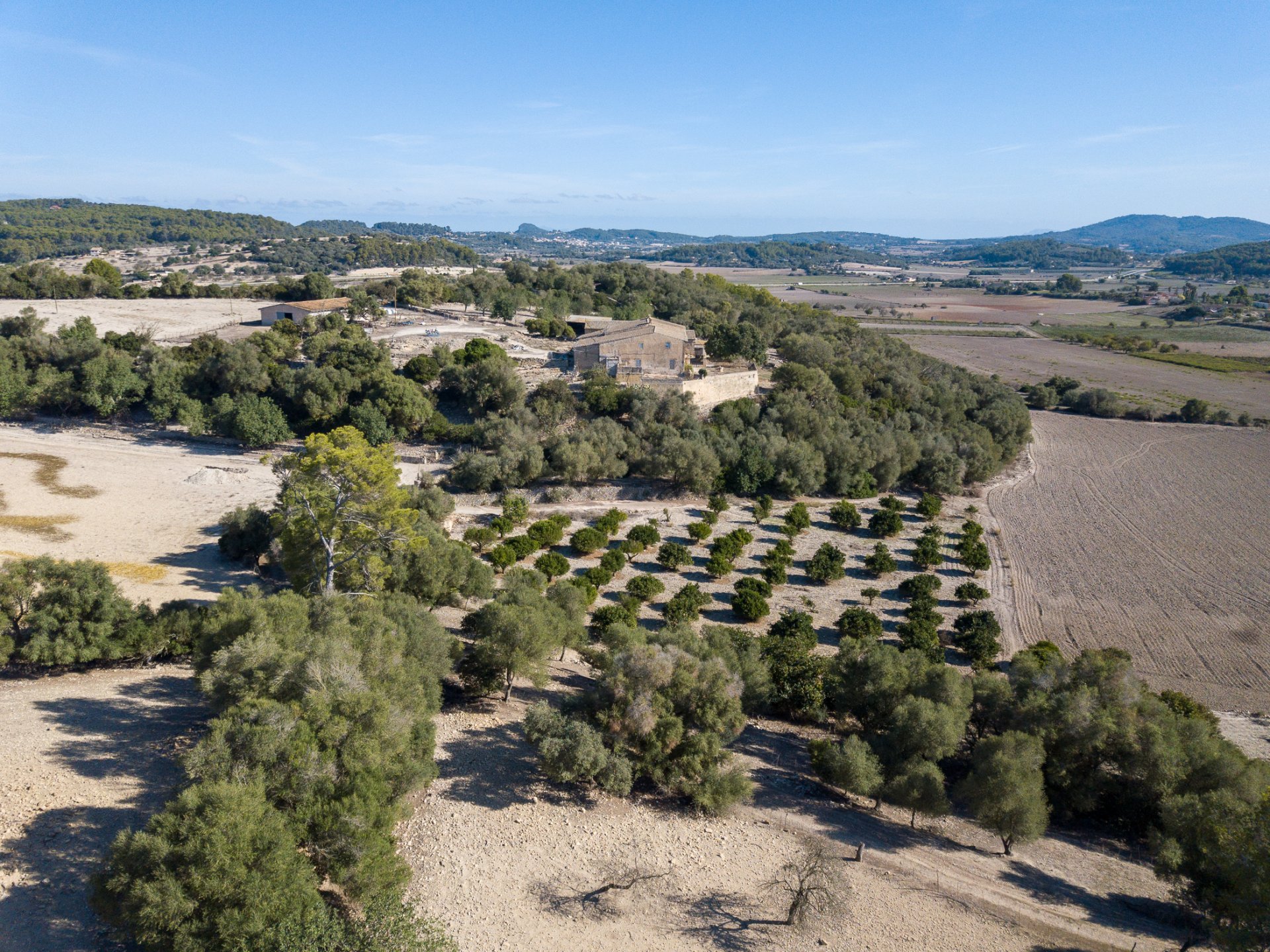 Finca i Montuiri, Mallorca, Spanien 8 sovrum, 1630 kvm. Nr. 32614