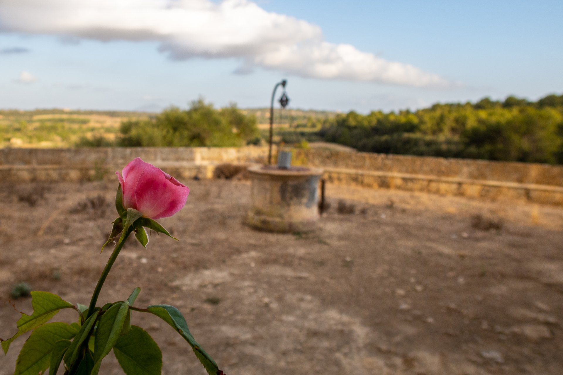 Finca i Montuiri, Mallorca, Spanien 8 sovrum, 1630 kvm. Nr. 32614