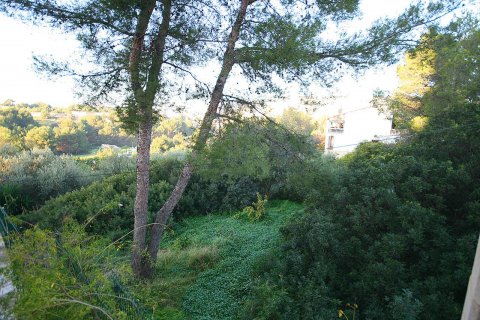 Land plot for sale in Palma de Majorca, Mallorca, Spain 2107 sq.m. No. 33407 - photo 2