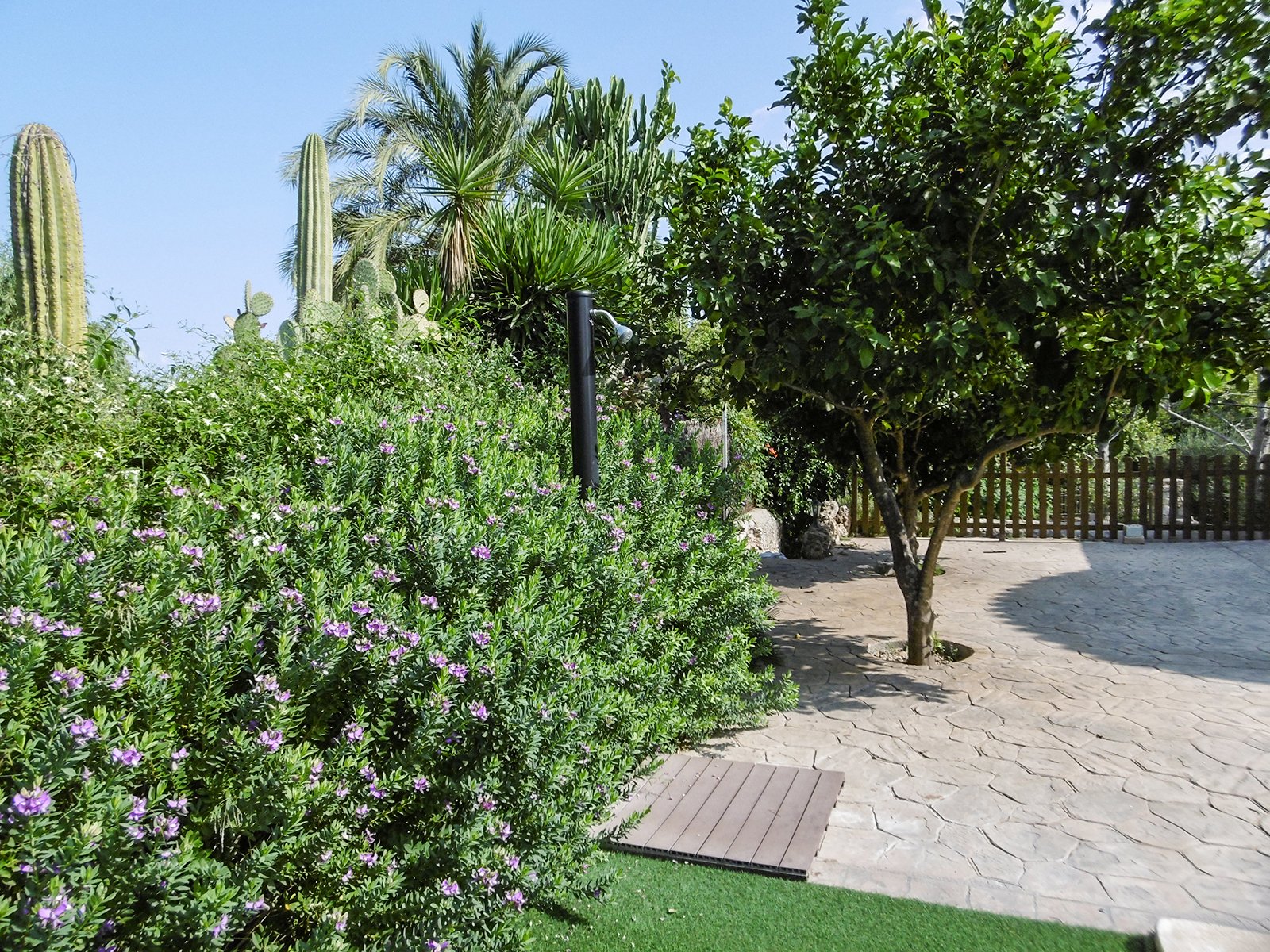 Townhouse in Sineu, Mallorca, Spanien 3 Schlafzimmer, 220 m2 Nr. 32603