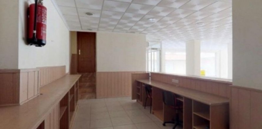 Commercial property in Torrevieja, Alicante, Spain 500 sq.m. No. 34483