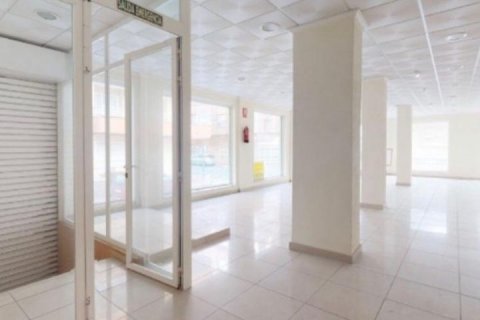 Commercial property for sale in Torrevieja, Alicante, Spain 500 sq.m. No. 34483 - photo 2