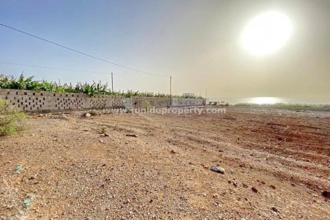 Land plot for sale in Abama, Tenerife, Spain No. 36401 - photo 6