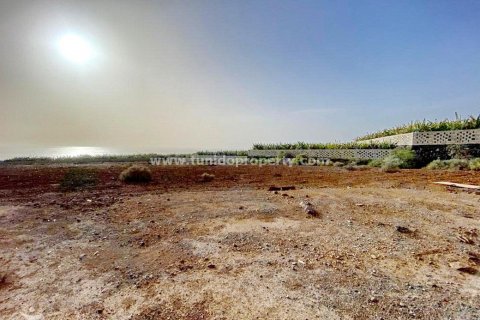 Land plot for sale in Abama, Tenerife, Spain No. 36401 - photo 7