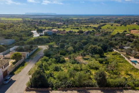 Land plot for sale in Ses Salines, Mallorca, Spain 2490 sq.m. No. 36745 - photo 1
