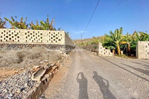Land plot for sale in Abama, Tenerife, Spain No. 36401 - photo 8