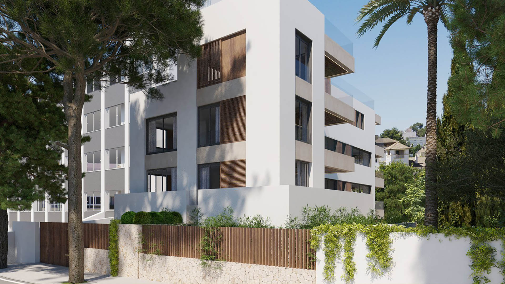 Bellver Oaks i Palma de Majorca, Mallorca, Spanien Nr. 36768