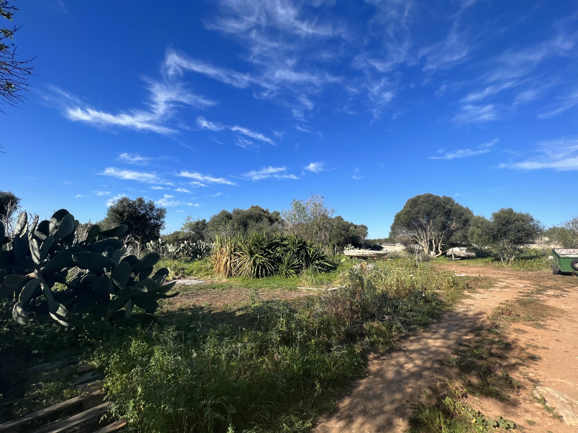 Land plot à Ses Salines, Mallorca, Espagne 2490 m2 No. 36745