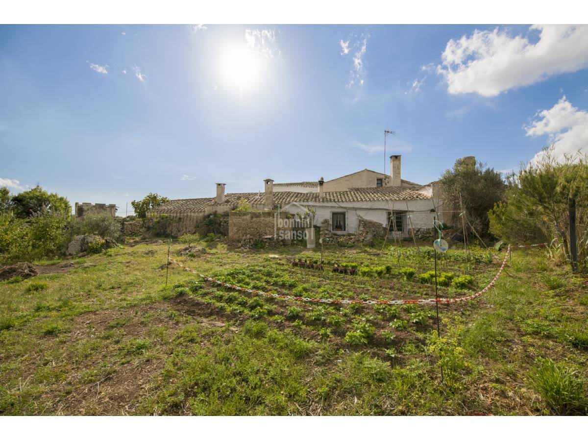 House à Alaior, Menorca, Espagne 10 chambres, 548 m2 No. 23865