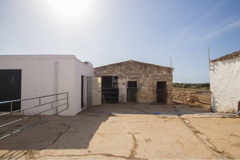 House for sale in Ciutadella De Menorca, Menorca, Spain 8 bedrooms, 822 sq.m. No. 23537 - photo 7
