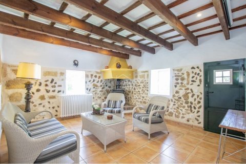 Land plot for sale in San Jaime Mediterraneo, Menorca, Spain 7 bedrooms, 30000 sq.m. No. 27966 - photo 10