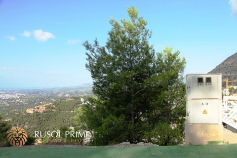 Land plot for sale Altea, Alicante, Spain 9586 sq.m. No. 39425 - photo 7