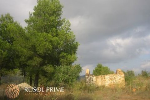 Land plot for sale Benissa, Alicante, Spain 18000 sq.m. No. 39395 - photo 11