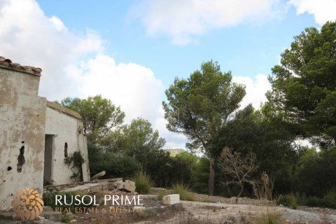 Commercial property for sale in Es Mercadal, Menorca, Spain 3254550 sq.m. No. 39224 - photo 13
